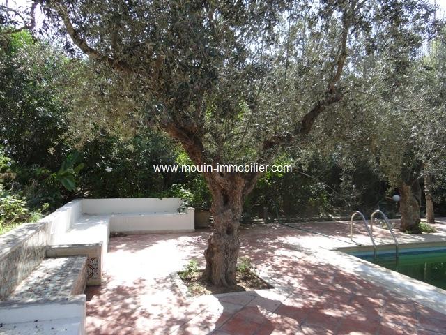 Photo villa l'olivier AL1173 zone théatre hammamet image 3/6