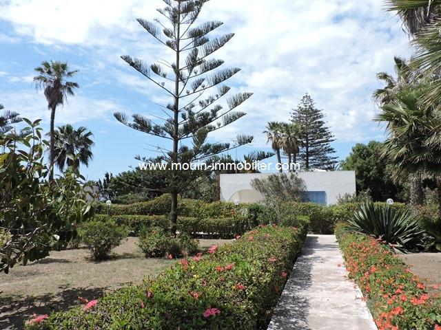 Photo VILLA LA CITRONNELLE Hammamet Nord Sidi Mahersi AL2117 image 3/6