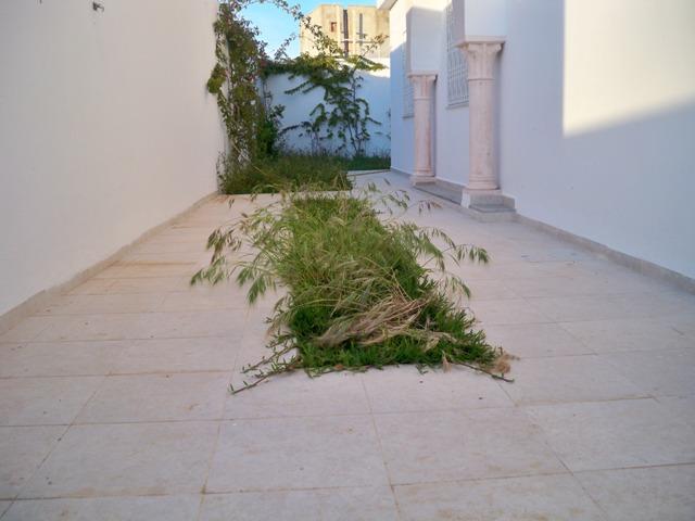 Photo Villa La Luna AL743 Hammamet zone theatre image 3/6