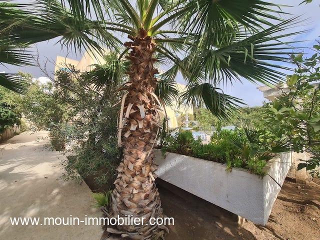 Photo VILLA LIMA Hammamet Nord I AV1751 image 3/5