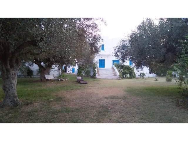 Photo Villa Nawres AL2458 Hammamet image 3/6