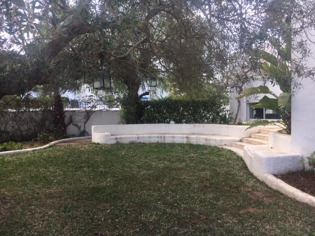 Photo Villa Olivo réf AV952 Hammamet Nord image 3/4