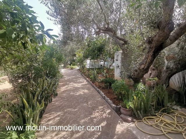 Photo Villa Operal AL2709 Hammamet Nord image 3/6