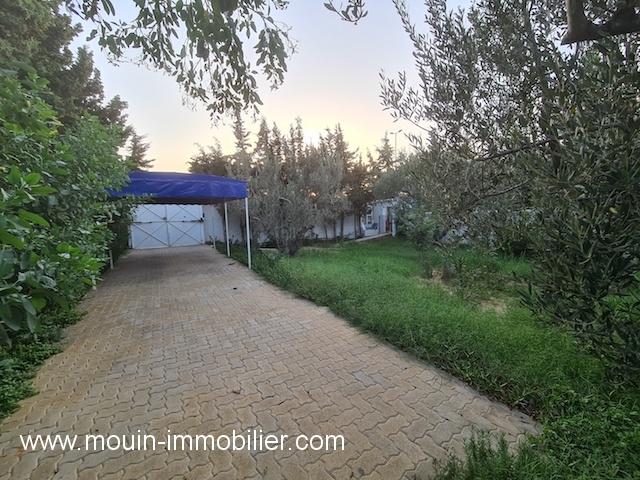 Photo VILLA OPERAL Hammamet Nord AL2709 image 3/6