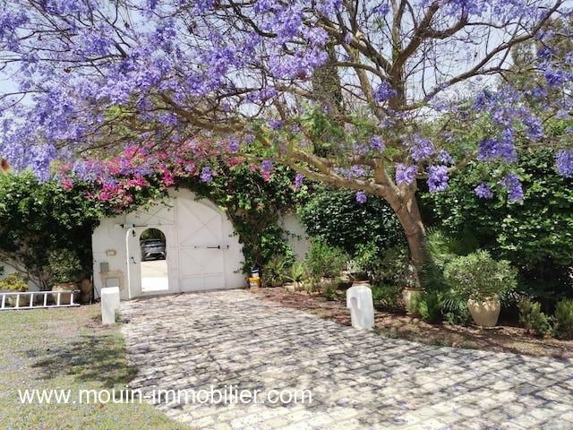 Photo Villa Sebastien AL3161 Hammamet zone theatre image 3/6
