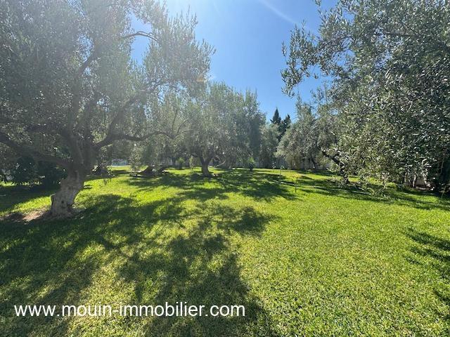 Photo VILLA SUNSHINE Hammamet Nord Mrezka AL3590 image 3/6