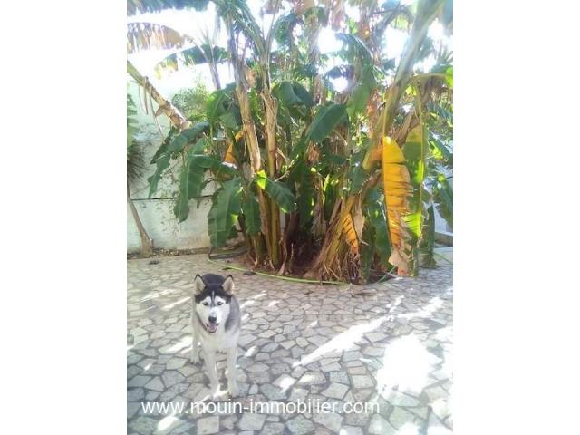 Photo Villa Zein AL2989 image 3/5
