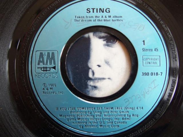 Photo Vinyl STING image 3/4