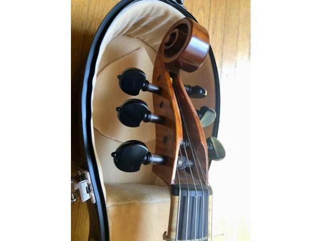Photo Viola da Gamba basse de viole de gambe 6 cordes image 3/3