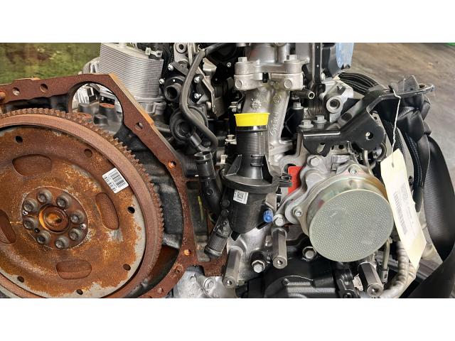 Photo YS23 A 260 - MOTEUR NAVARA 2.3L DCI 190CV Code: M9T260 image 3/6
