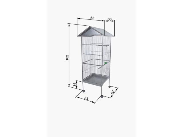 Photo 2 calopsites mâle + cage image 4/5