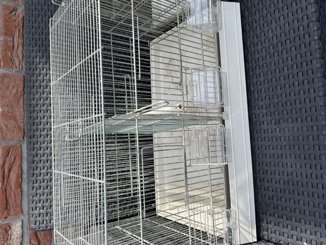 Photo 4 cages élevages canaris image 4/4