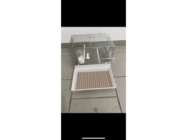 Photo 6 cages de chant Donus comme neuf image 4/6