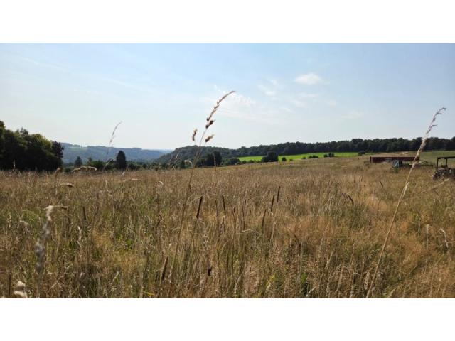 Photo 6830 LES HAYONS - Bouillon : Magnifique et grand terrain avec vue imprenable sur la vallée. image 4/6