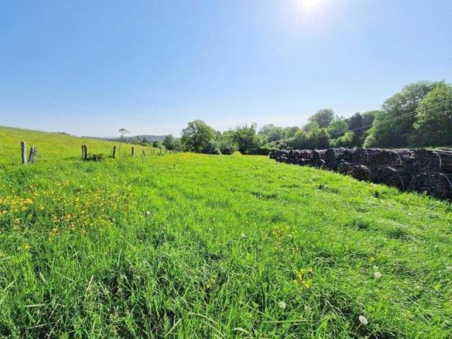Photo 6830 Les Hayons - Bouillon : superbe terrain de 1Ha 44a 66ca. image 4/4
