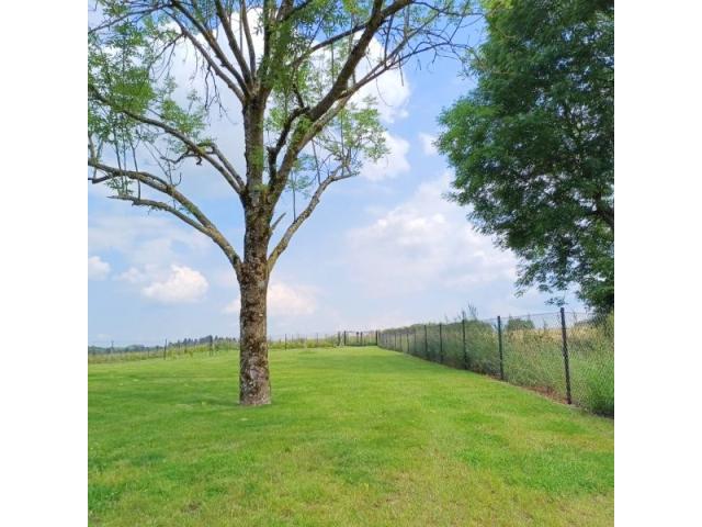 Photo 6890 Anloy (Libin) : jolie maison avec jardin, 3ch, 2sdb. image 4/6