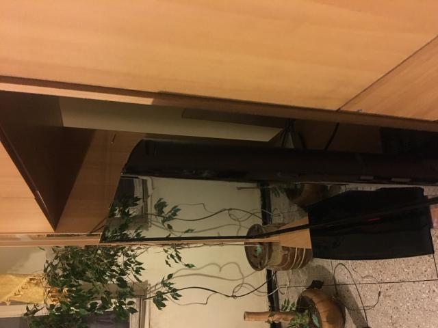 Photo À vendre Television LG 42 