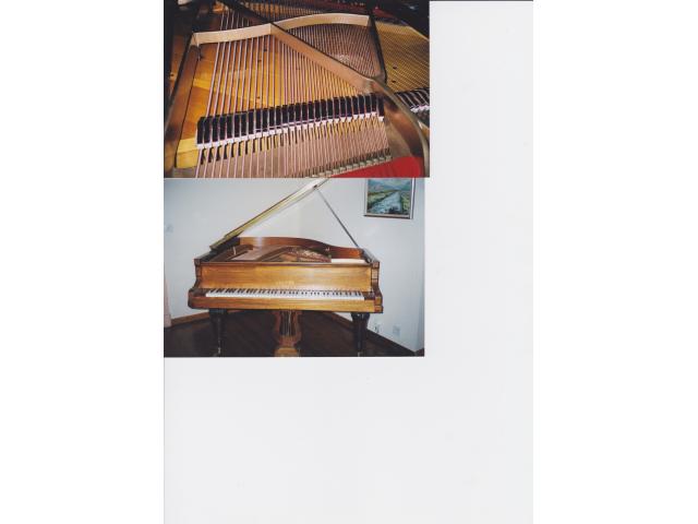 Photo Accordeur, Technicien, Restaurateur de Piano image 4/4