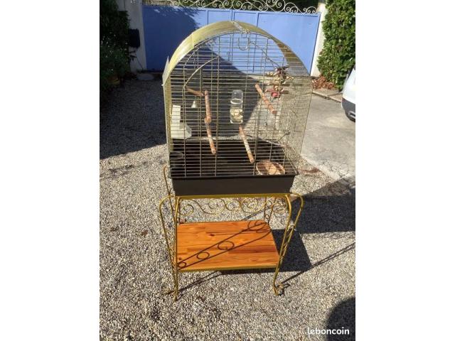 Photo affaire a saisir cage perroquet image 4/4