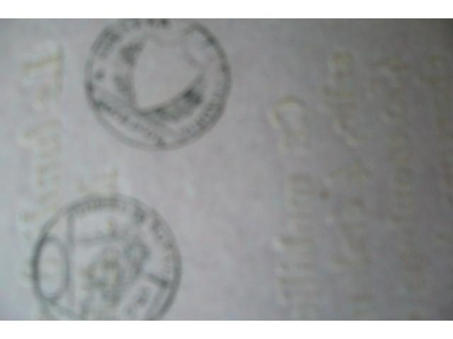 Photo analyse image 4/6