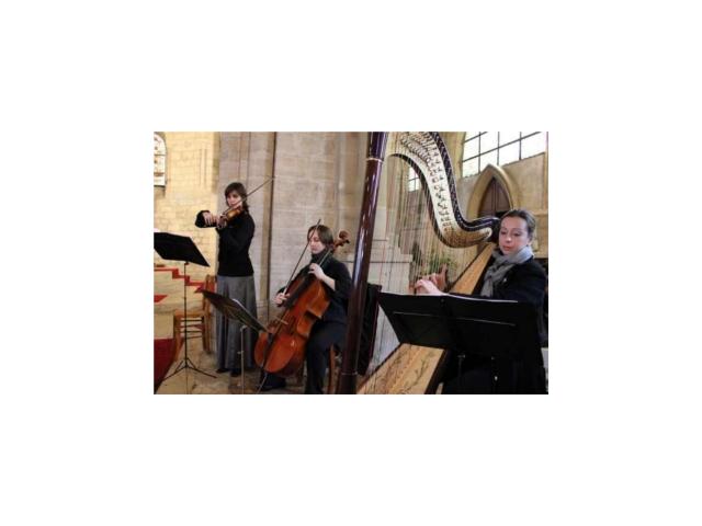 Photo Animations de mariages : Harpe et Soprano image 4/6