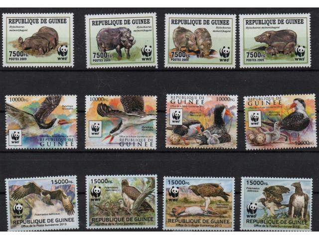 Photo Animaux en voie de disparition - WWF image 4/5