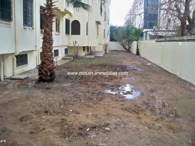 Photo Appartement Dreams réf AV959 Lac 1 image 4/4