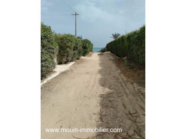 Photo APPARTEMENT LES MIMOSAS  Hammamet Nord  AL2944 image 4/6
