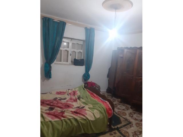Photo av maison 150md a hammamet sud image 4/4
