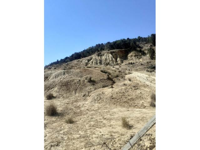 Photo av terrain 1300m² a ben wael hammamet image 4/4