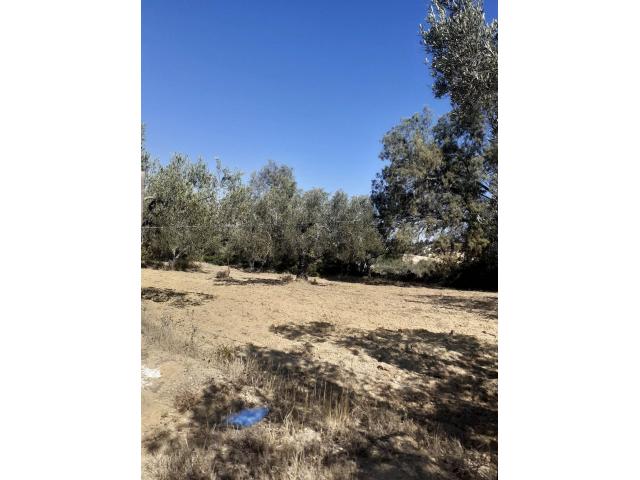 Photo av terrain de 1456m² a hammamet image 4/4