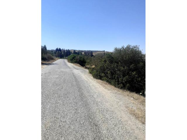 Photo av terrain de 1456m² a hammamet image 4/4