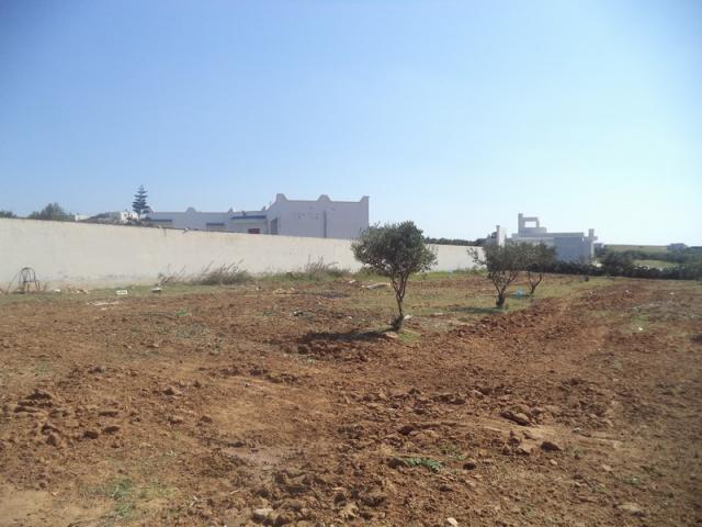 Photo av un terrain de 500m² situé a monchar hammamet sud image 4/4