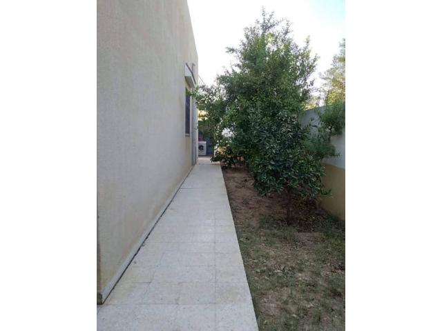Photo av villa 220md a hammamet sud image 4/4