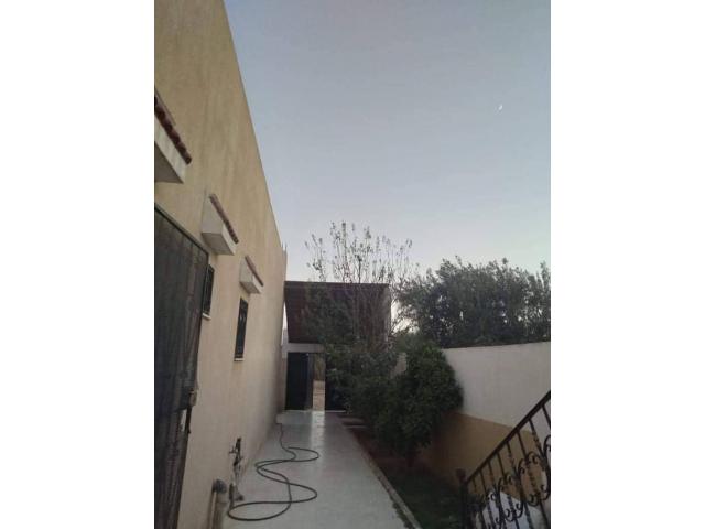 Photo av villa de 220md a hammamet sud image 4/5