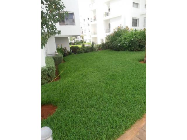 Photo Bel appartement à sidi maarouf les collines image 4/5