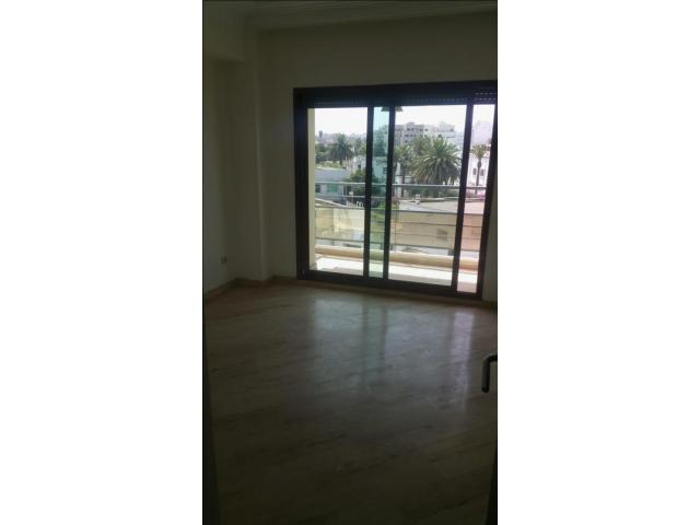 Photo BEL Appartement  de 150m2 palmier image 4/6