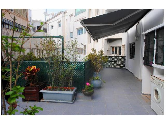 Photo BEL Appartement de 325 m2 en location image 4/5