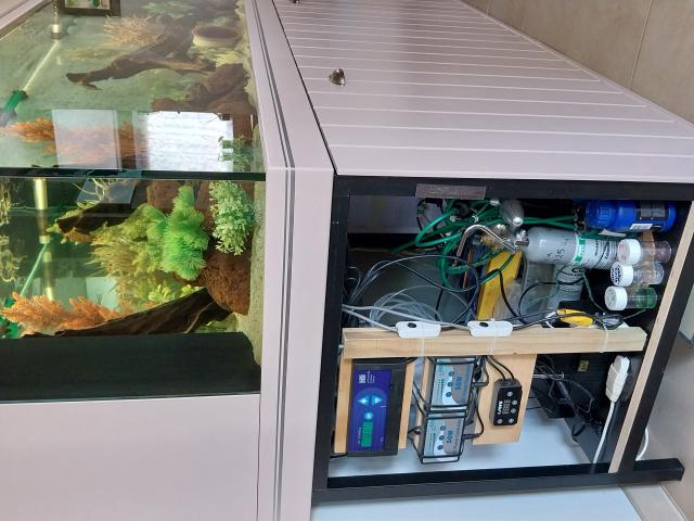 Photo bonjour grand aquarium a vendre de 840 litres avec meuble image 4/6