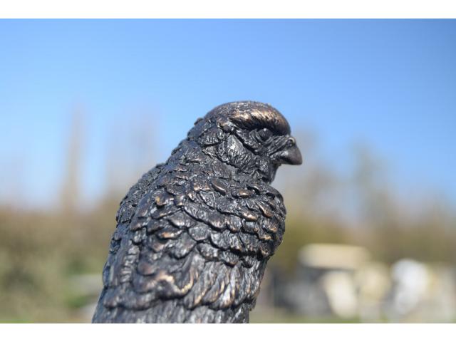 Photo Bronze animalier (faucon,aigle sur rocher) image 4/6