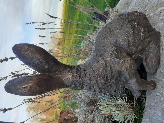 Photo BRONZE ANIMALIER (le lièvre assis) image 4/6