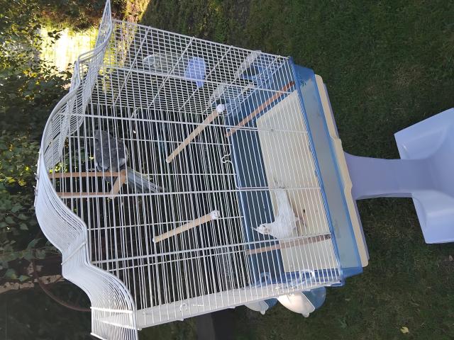 Photo cage image 4/4