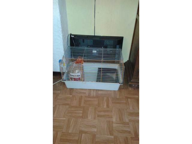 Photo cage a lapin image 4/4