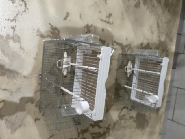 Photo Cage de chant comme neuf image 4/6