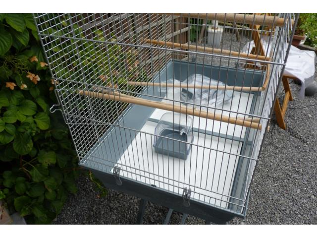 Photo Cage  oiseaux image 4/4