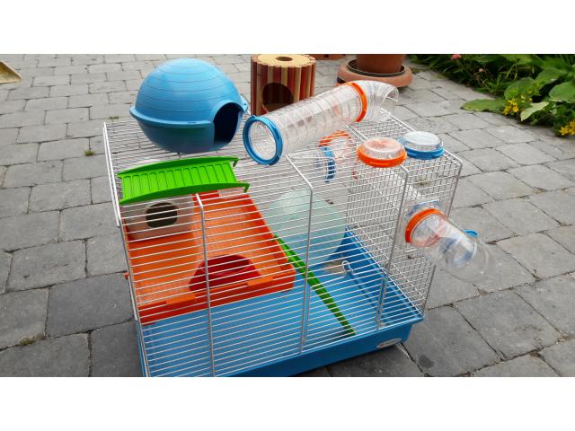 Photo Cages et accessoires pour hamsters/souris image 4/5