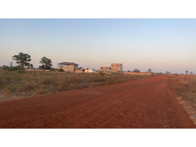 Photo Champ de 3 hectares à vendre à Mbodiène Sénégal image 4/4