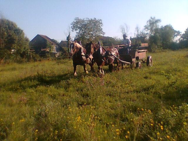 Photo charrette à cheval 4 roues image 4/4