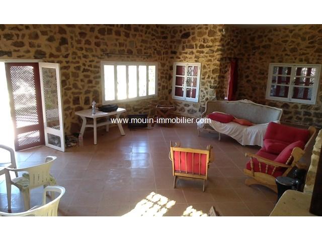 Photo Dar Aziz ef AV716 Hammamet Birbouregba image 4/6