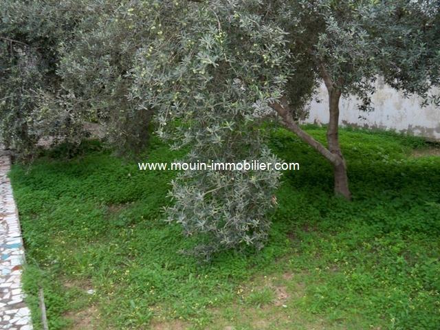 Photo Dar Happiness A Hammamet Nord AV521 image 4/5